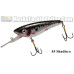 Tuff Shad Lures - 5" Tuff Shad