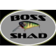 Boss Shad Boss Shad